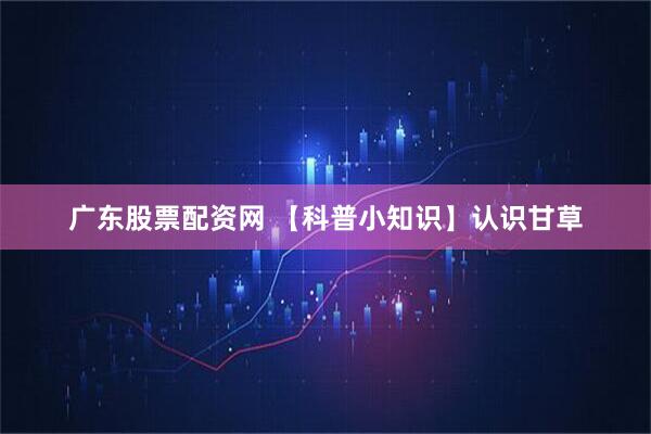 广东股票配资网 【科普小知识】认识甘草