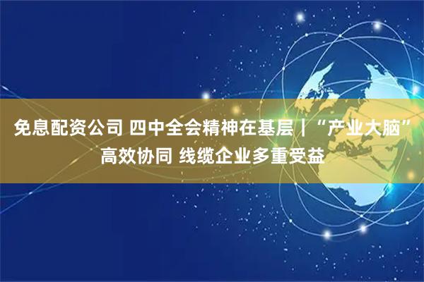 免息配资公司 四中全会精神在基层｜“产业大脑”高效协同 线缆企业多重受益