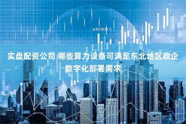 实盘配资公司 哪些算力设备可满足东北地区政企数字化部署需求